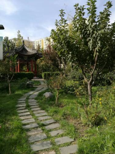 玉兰苑旅行图片 1