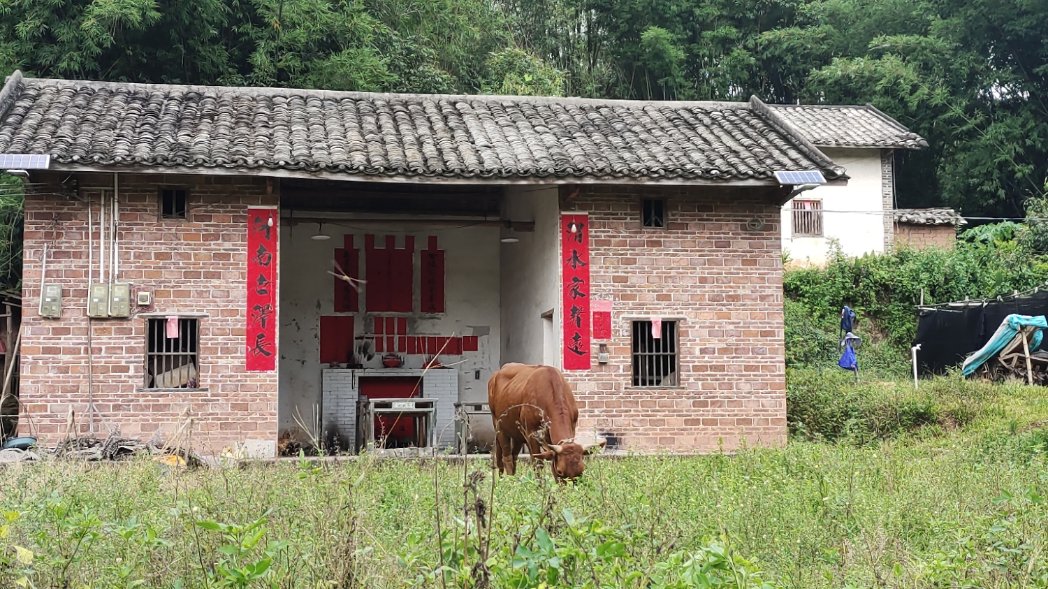 邱氏祠堂实景照片