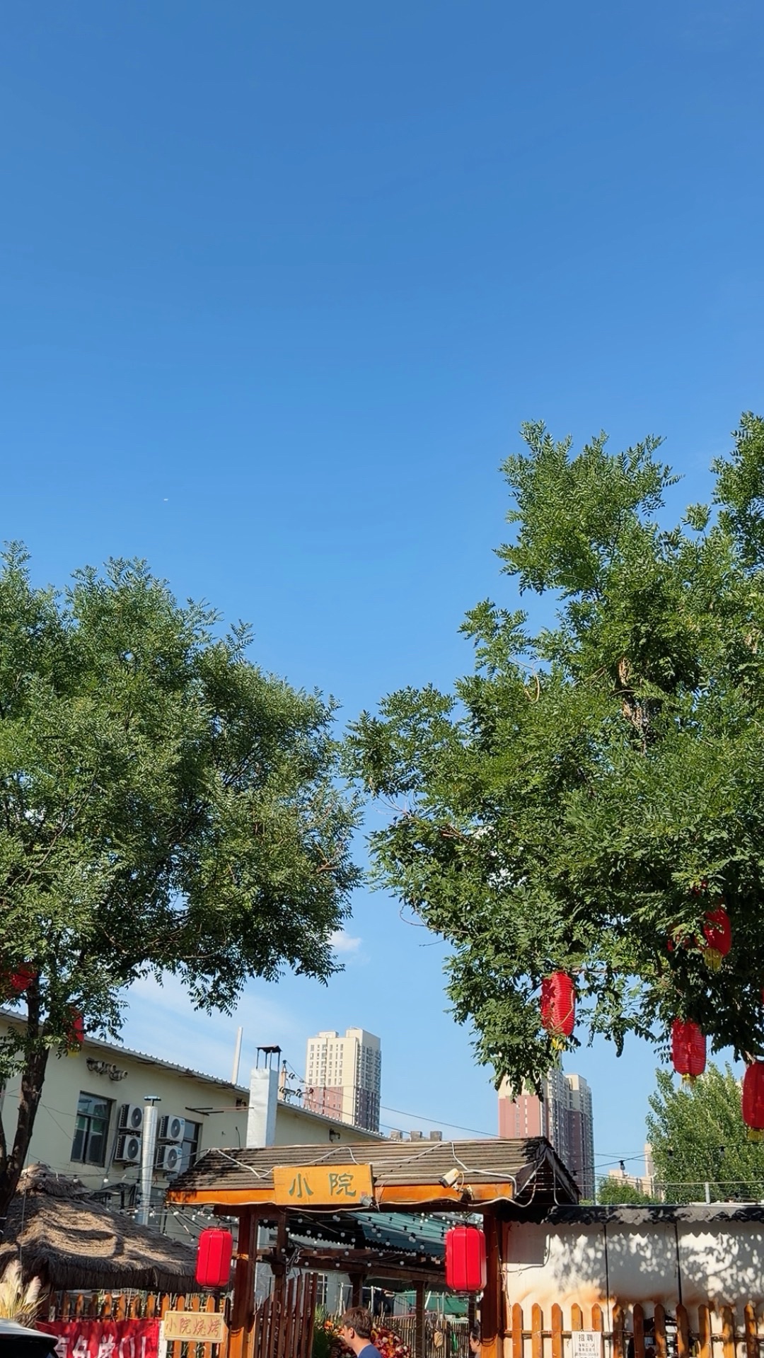 山西小院实景照片