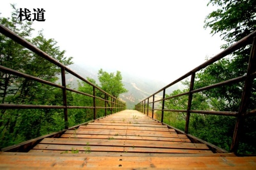 红松王景区旅行图片 1