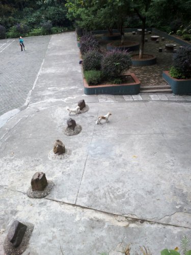 南山公园旅行图片 1