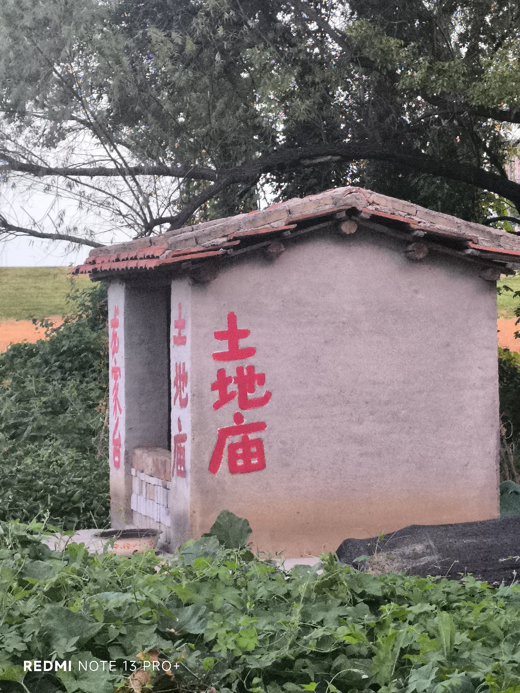 龙家台土地庙实景照片