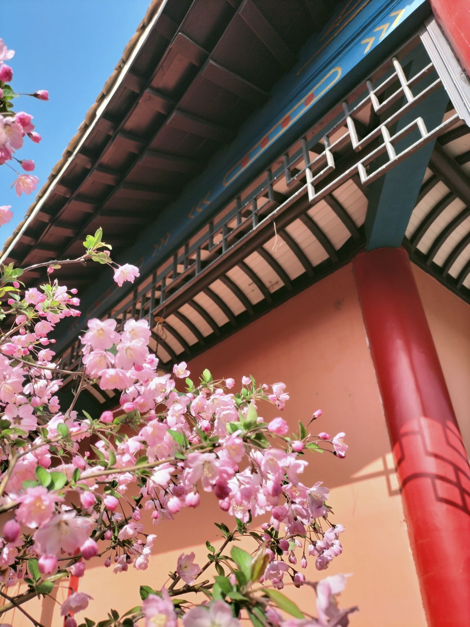 兴化福缘寺院实景照片