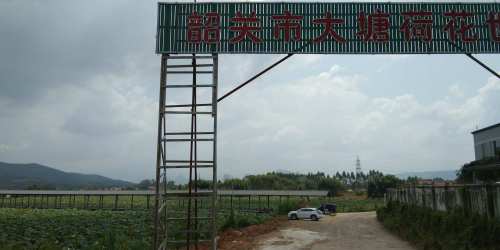 韶关市大塘荷花世界旅行图片 2
