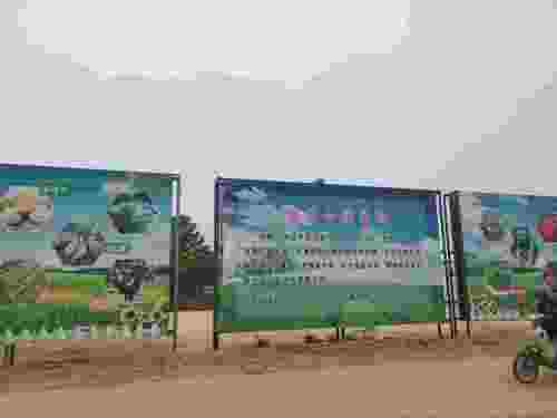 柏粮小镇花海迷宫旅行图片 2