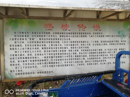东山怪坡旅行图片 2
