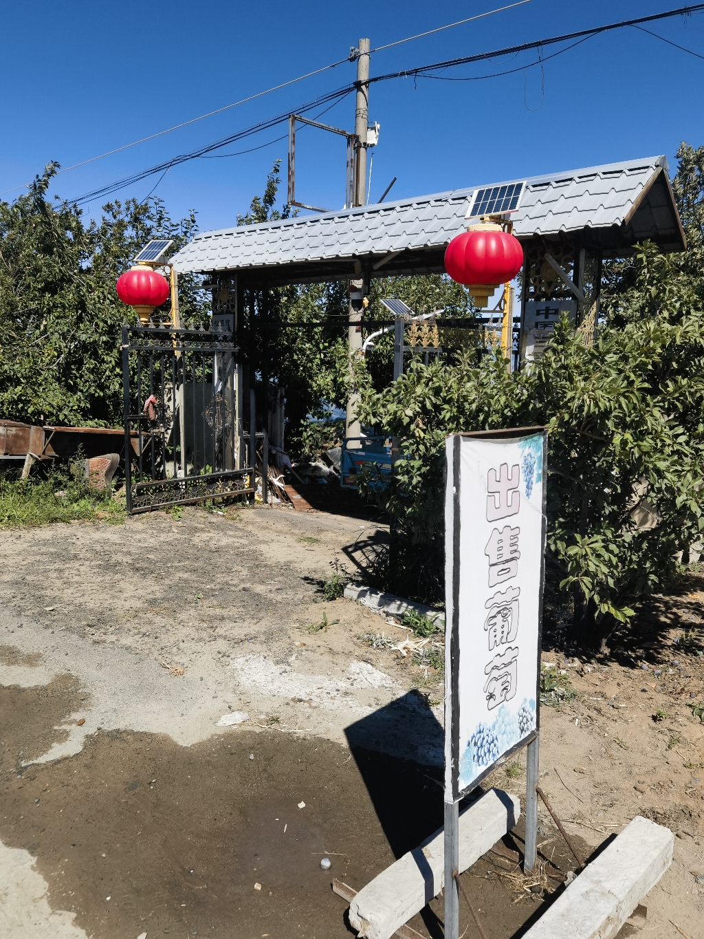 正心禅院实景照片