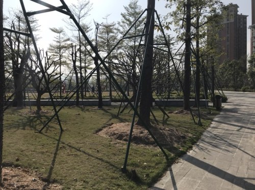 凤山公园旅行图片 1