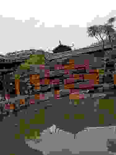 龙井村旅行图片 1