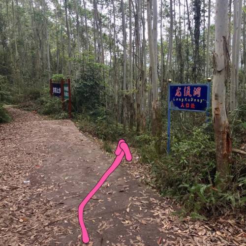 龙须洞旅行图片 2