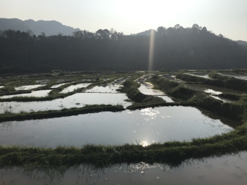 宝源梯田旅行图片 2
