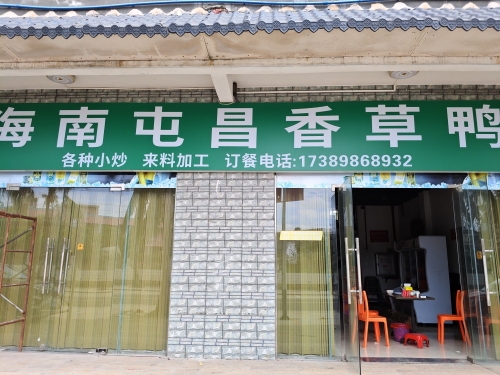 海南屯昌香草鸭