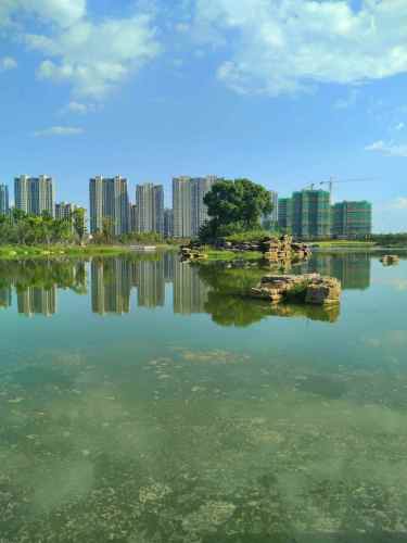 鹿鸣湖公园旅行图片 2