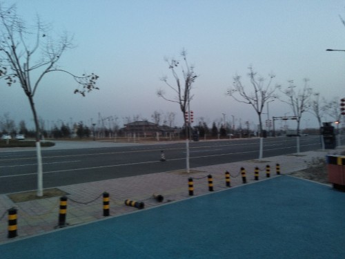 齐河体育公园旅行图片 1