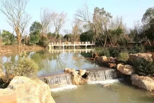 现代农业示范园-歌田花海旅行图片 1