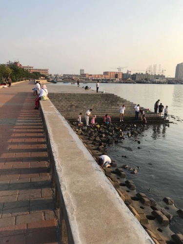 海滨公园旅行图片 3