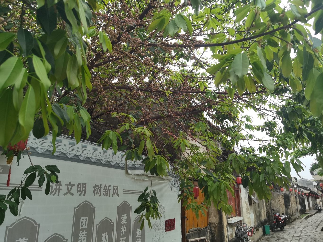 龙湖黄氏宗祠实景照片