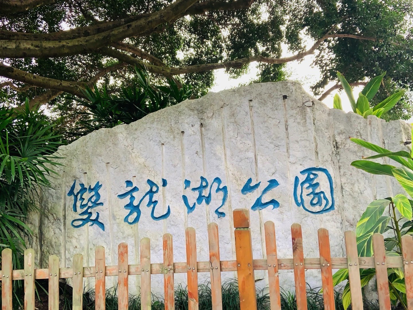 双龙湖湿地公园