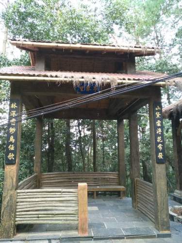 镜山森林公园旅行图片 1