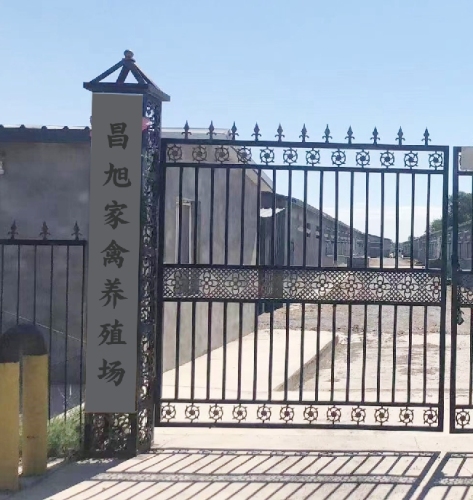 绿色养殖：生态养殖引领未来畜牧业