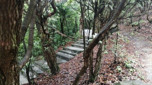 中国百里杜鹃风景名胜区-毕节驿