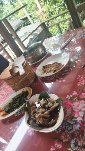 竽芯园庭园美食屋