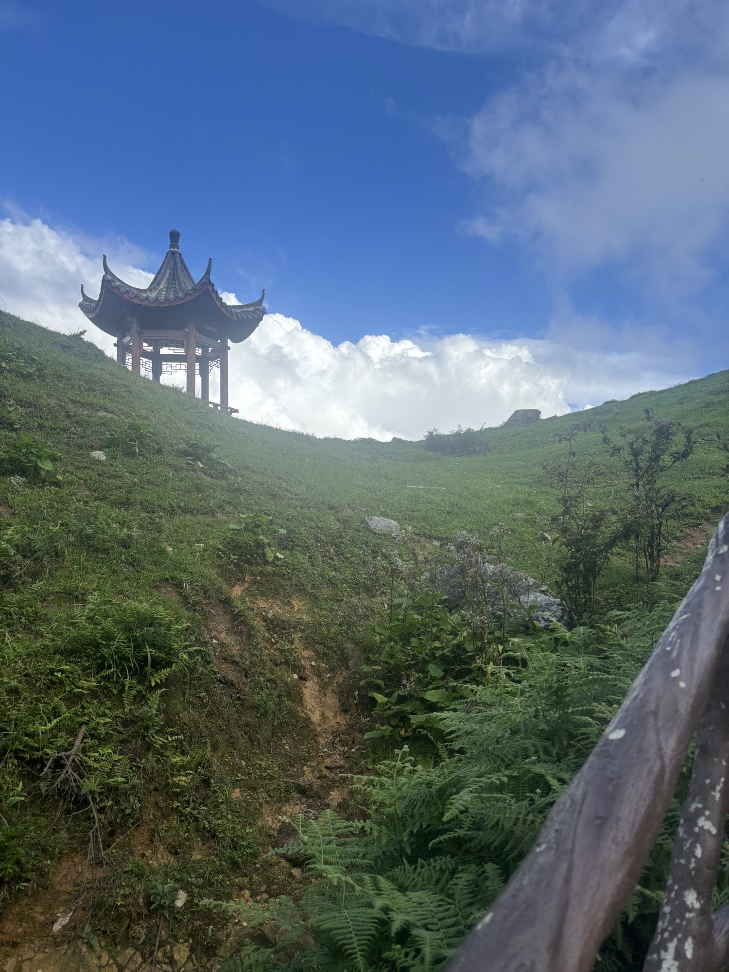 普照寺实景照片