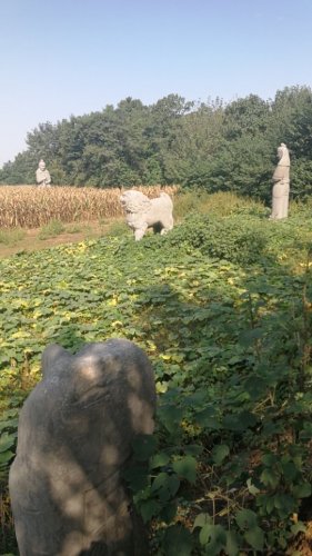 宋陵旅行图片 2