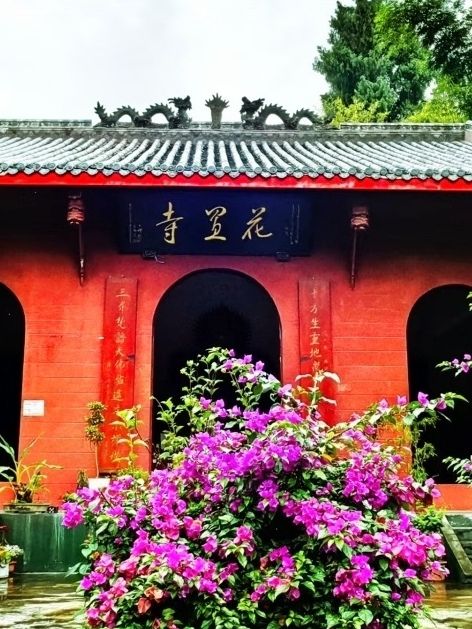 花置寺实景照片