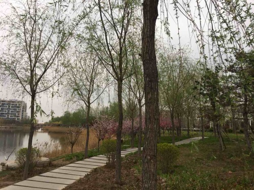 翠湖公园旅行图片 1