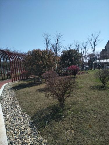 沧海公园旅行图片 2