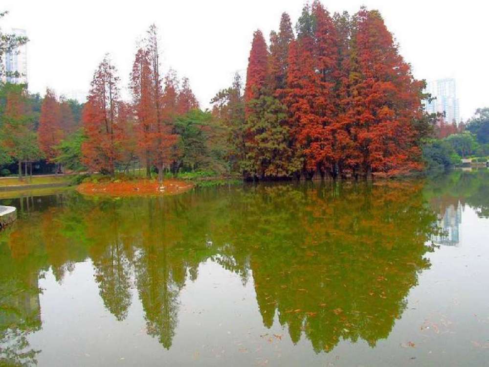天河公园景点图片