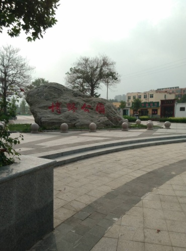 博野公园旅行图片 3