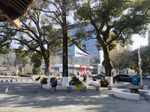 三棵树公园