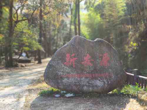 新安源古林公园旅行图片 2
