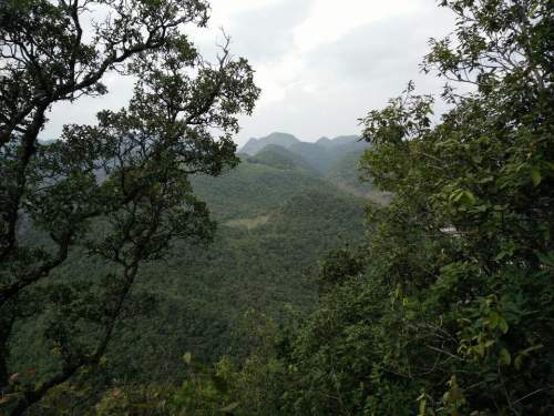野猪岭风景区旅行图片 1