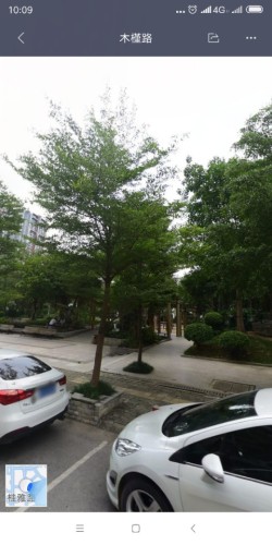 国锋小广场旅行图片 2