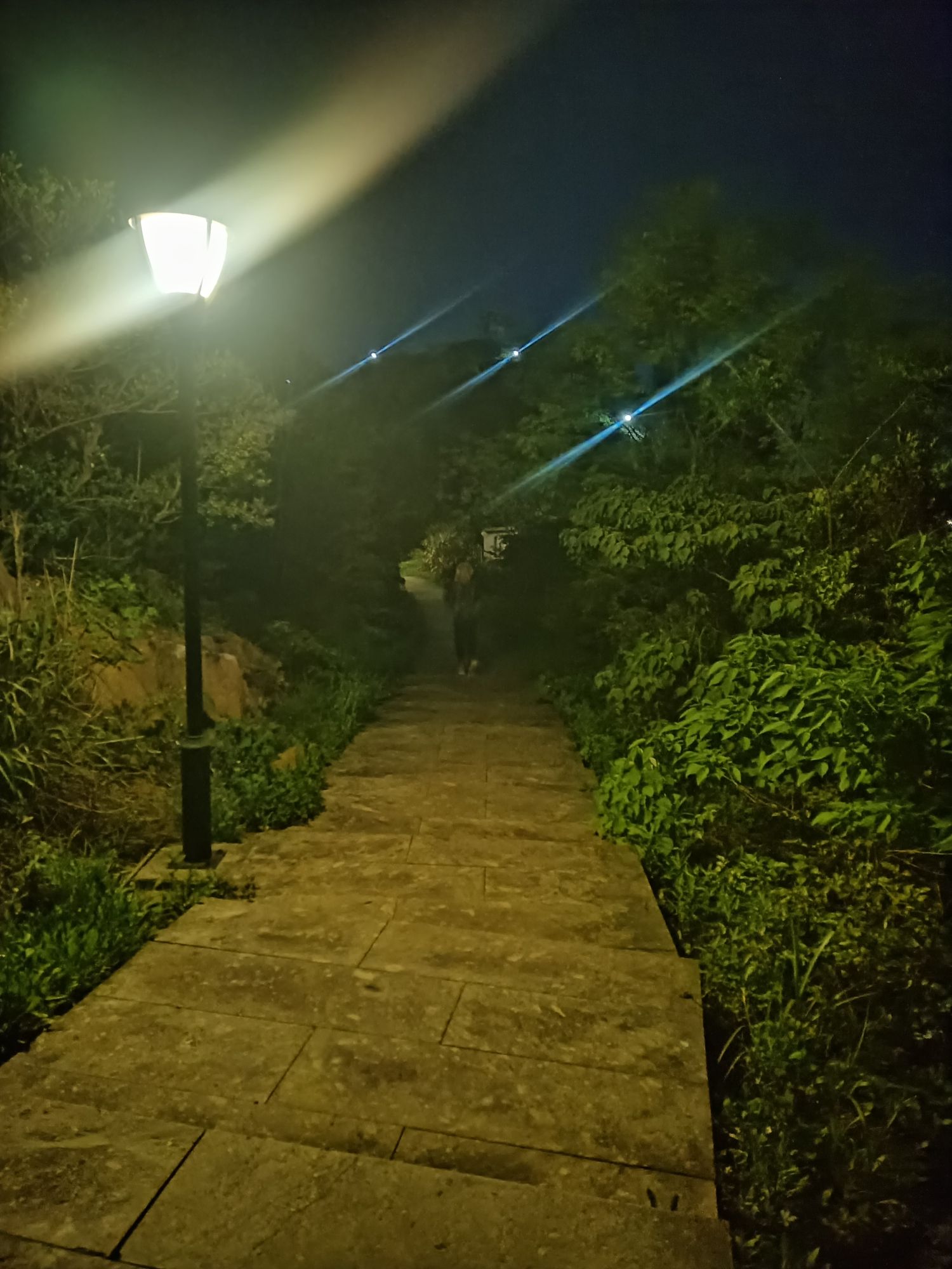 老虎山山体公园