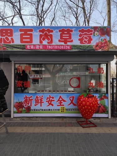 思百芮草莓
