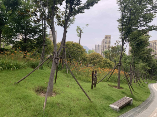 花溪公园旅行图片