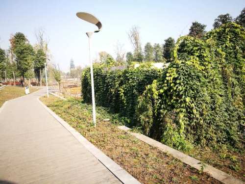 中央水体公园旅行图片 3