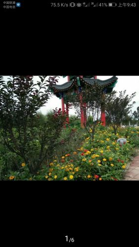 薇波公园旅行图片 3