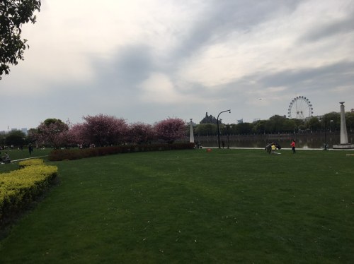 银岸草暖园旅行图片 3