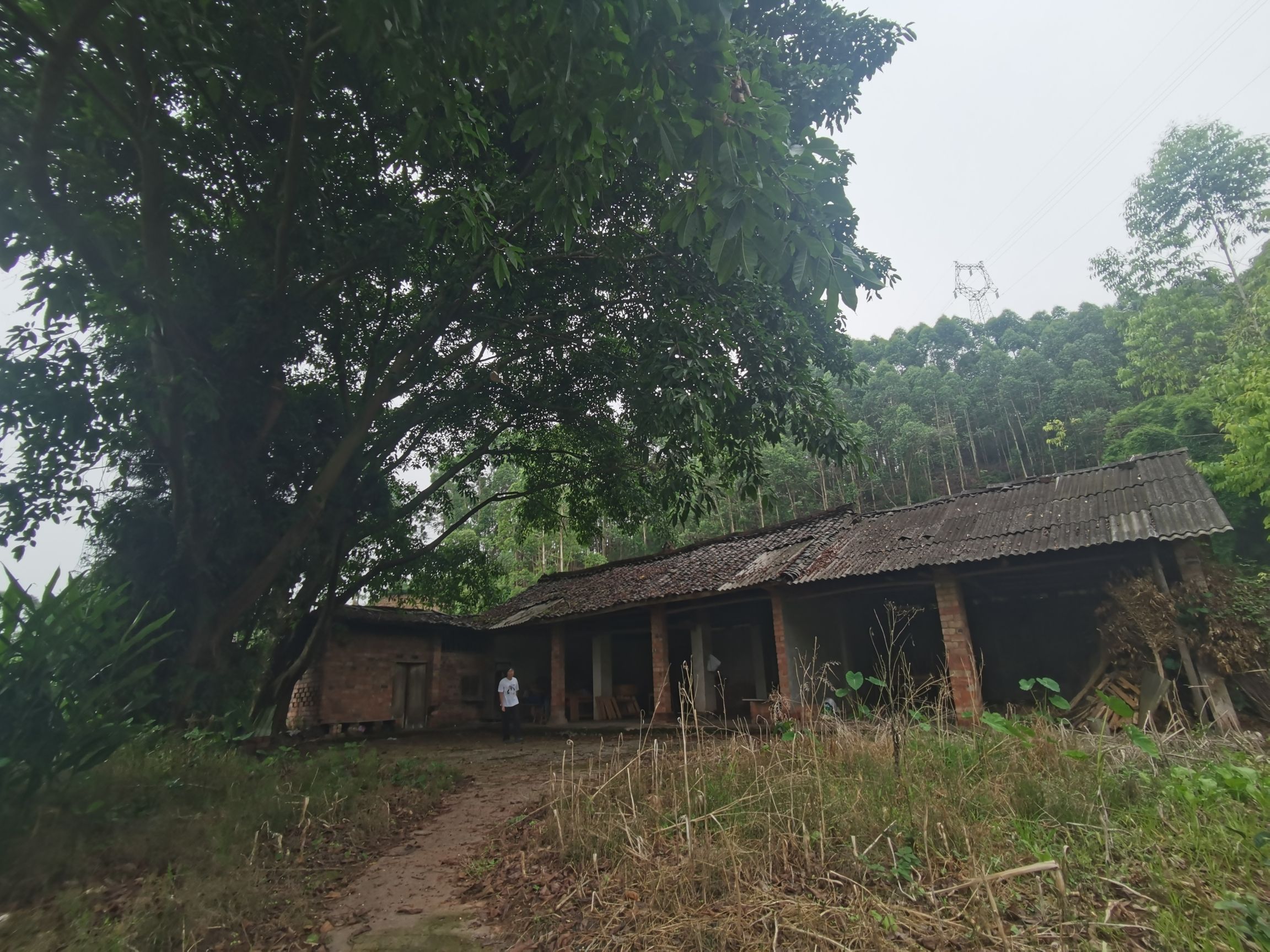 云峰寺实景照片