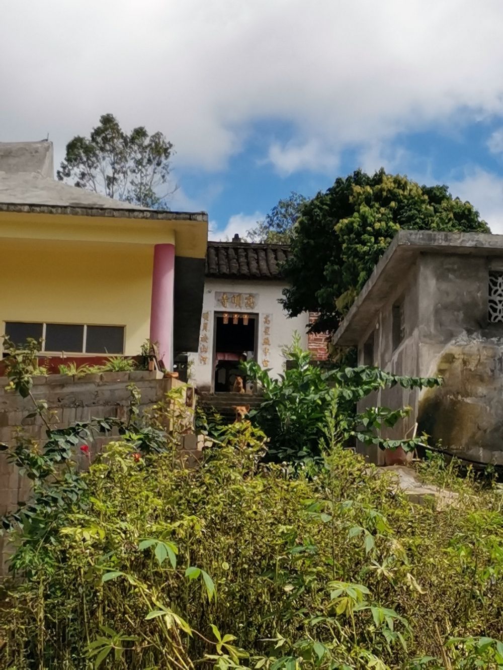 高明寺实景照片