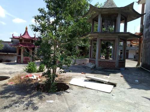 笔架岭森林公园旅行图片 2