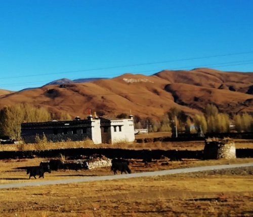 傍河与色拉旅行图片 1
