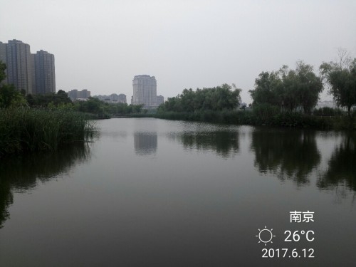 龙池湖旅行图片 1