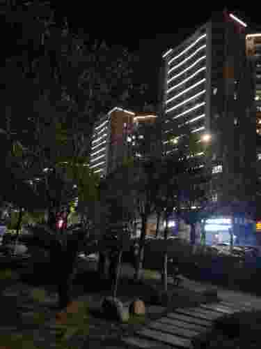 绵江湿地公园旅行图片 3