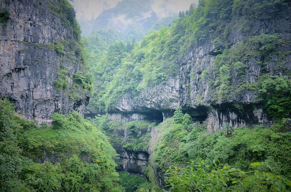 鹿院坪生态景区景点图片